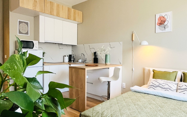 Uyutnaya Studiya V Pesochnom Flat