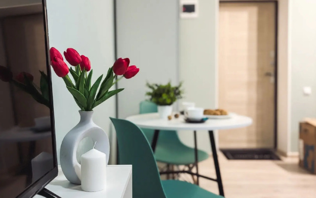 Biryuzovaya komnata v tsentre goroda furnished room