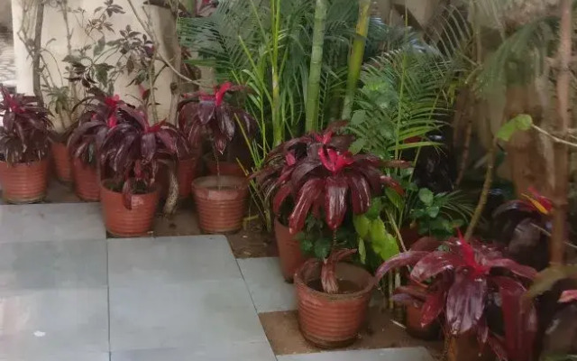 Отель Abode Homestay