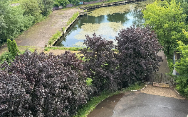 Uyutnaya Studiya Bordo Flat