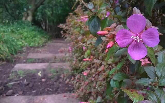 Гостевой Дом ArendsRus Counrty Lodge