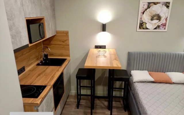 Апартаменты элегантные в гостинице Салют