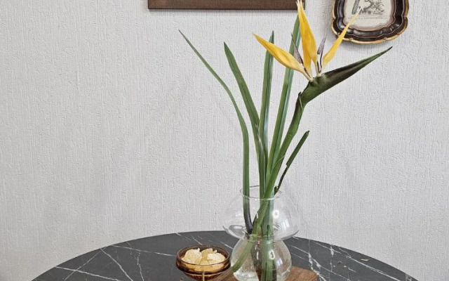 Квартира Студия с видом на город ЖК Космос