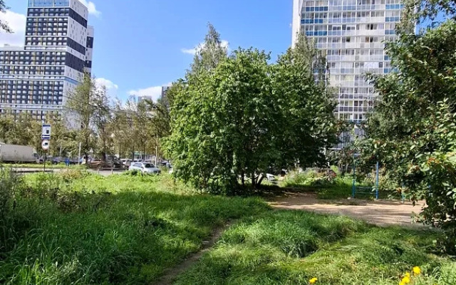 Апартаменты Просторные с видом на парк