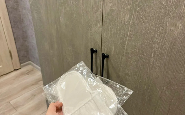 Uyutnaya V Tsentre Goroda Flat