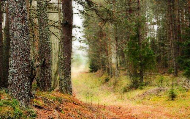 База отдыха  Вселуг