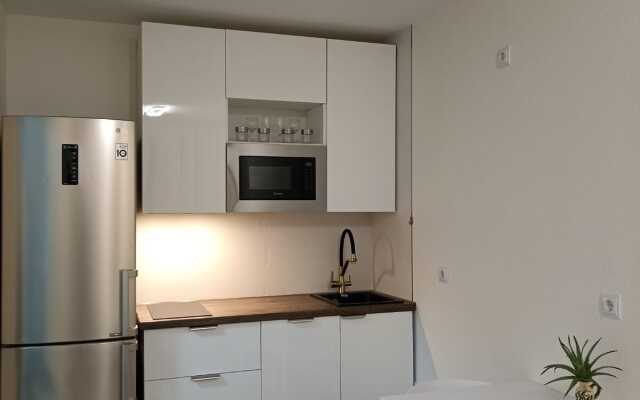 Dizaynerskaya Yevro-Dvushka V Murino Flat