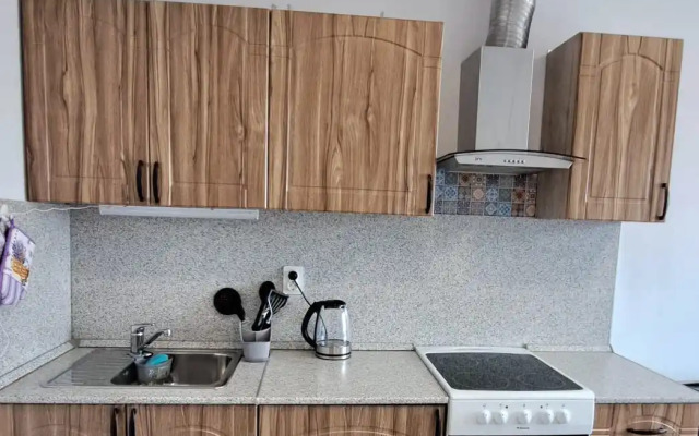 Sovremennaya Flat