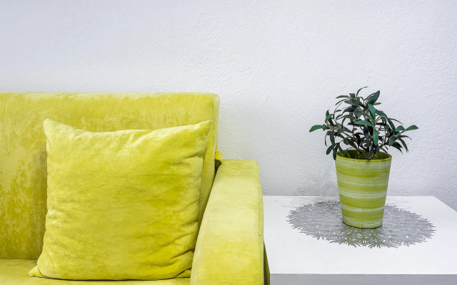 Апартаменты Уютные апартаменты у парка