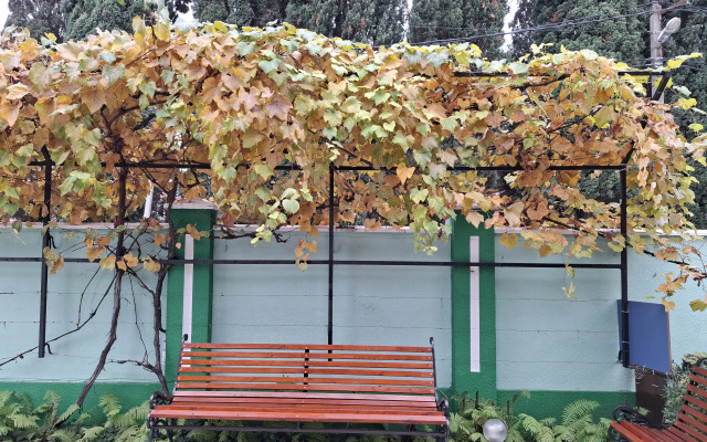 Veronika Guest house