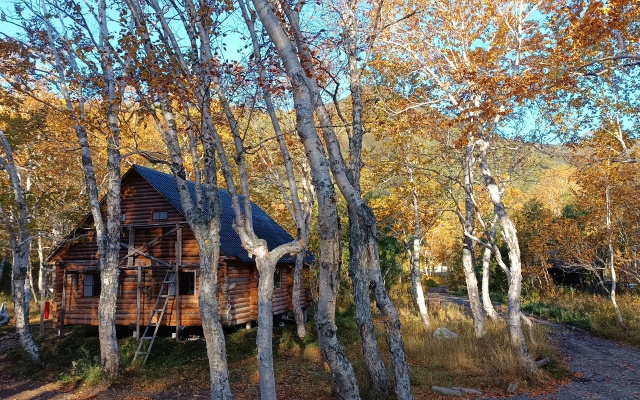 Cottages Goryachaya Sopka