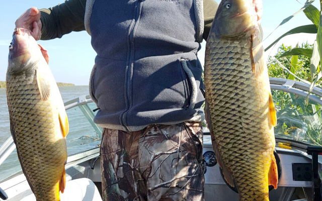 Гостевой дом Маяк