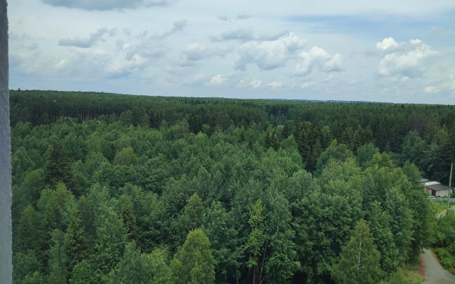 Квартира Уютная у леса