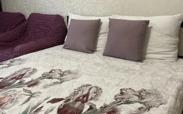 Апартаменты Центральный парк 2