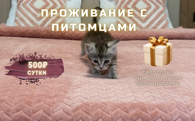 Апартаменты Оплот - «SCANDI» - с мини балконом 2