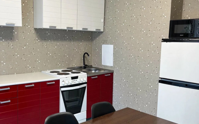 Na Alekseeva 103 Flat