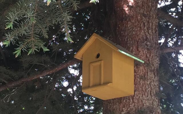 Apple Tree Guest House