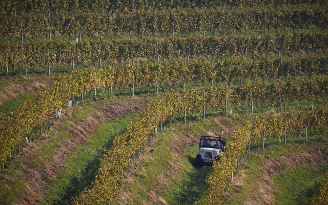 Вилла Holiday House Podhamer Marijan