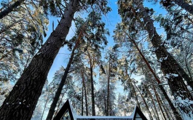 Shale Bunyrevskiy Treugolnik Chalet