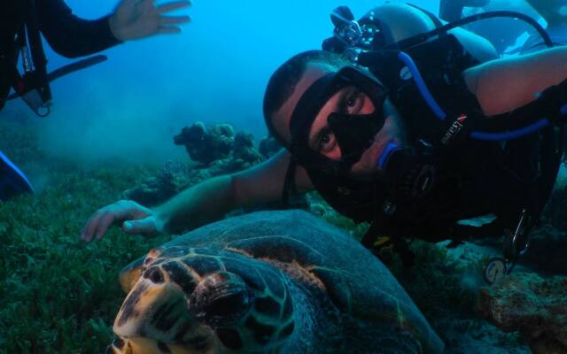 Гостевой Дом Neptun Dive Resort