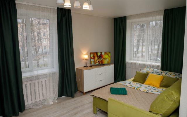 Komfortnaya V Tsentre Pushkino Na Moskovskom Flat