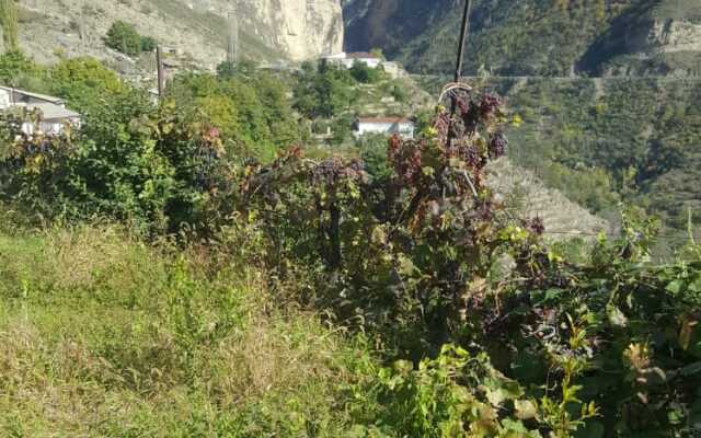 Гостевой Дом Аракани