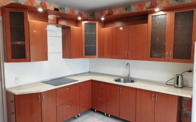 Апартаменты Дворецкий на Переверткина, д.1/10