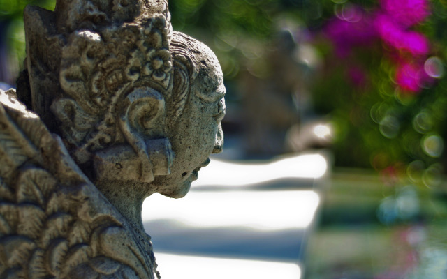 Villa Ashoka Canggu