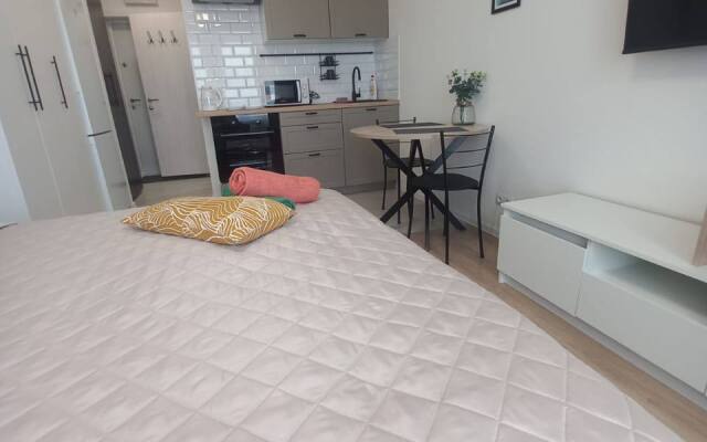 Sosnovaya 5/1 ProApart Apartments