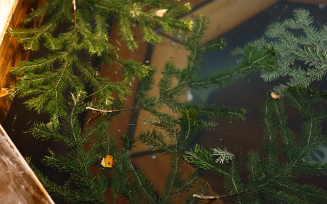 База отдыха Эко-отель Агроусадьба Павлова