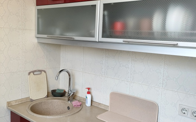Uutnye na Peshkova 55 ryadom s bolnitsey Vodnikov Apartments