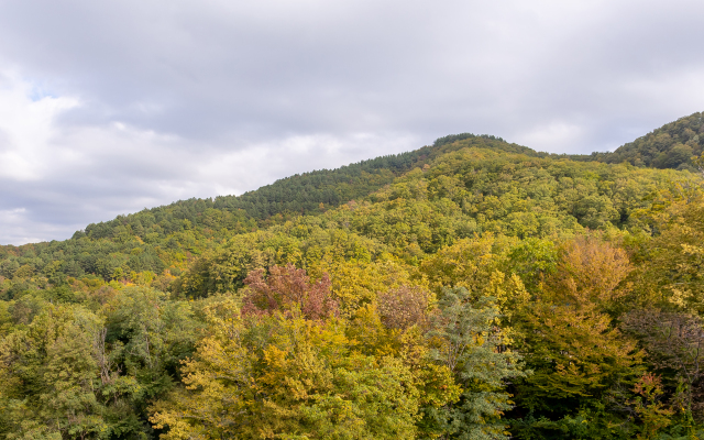 AZIMUT Park Hotel Prometey Nebug