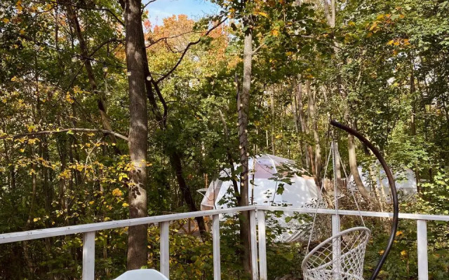 Глэмпинг Клевер