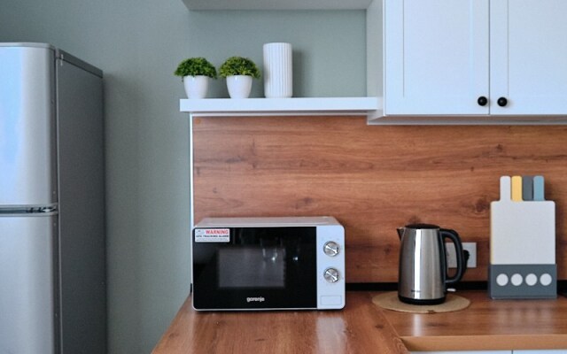 Апартаменты Eco studio