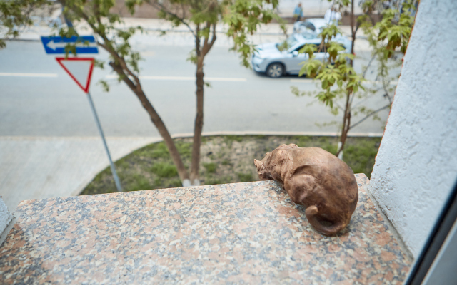 Апартаменты На Панской