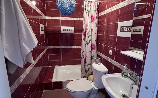 Na Vladimirskoy Guest house