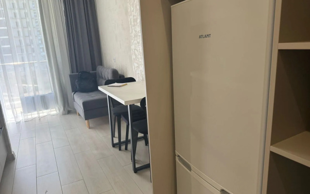Studiya S Balkonom 90 Apartments