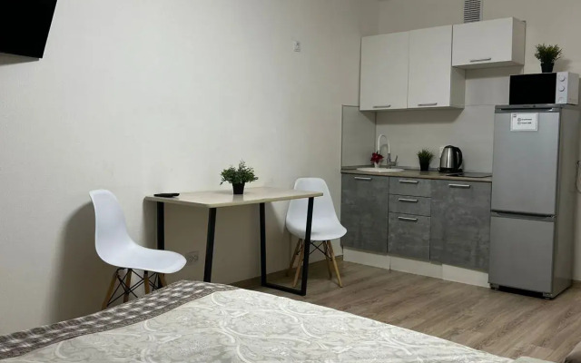 Dream House U Aeroporta Apartments