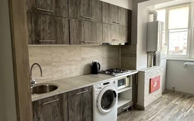 Kvartira V Tsentre Kmv Apartments