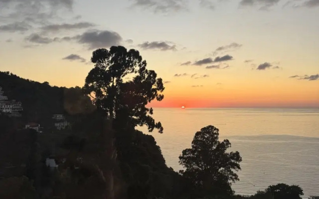 Курортный отель Mount Villa Kvariati