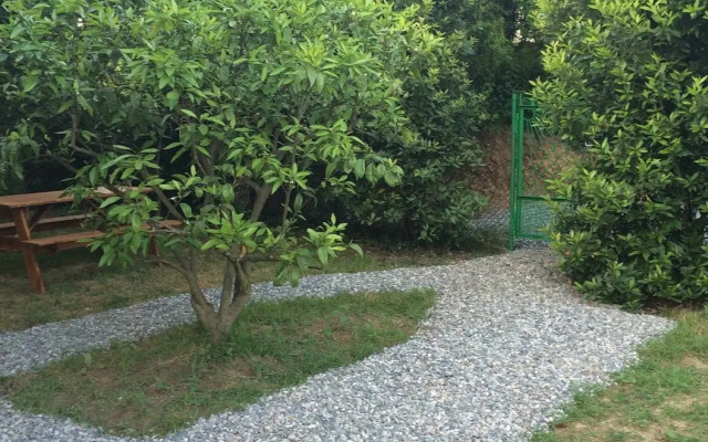 Ekodomik Bungalow