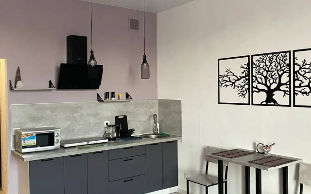 Komfortnaya Studiya Ryadom S Zhd Vokzalom Apartments