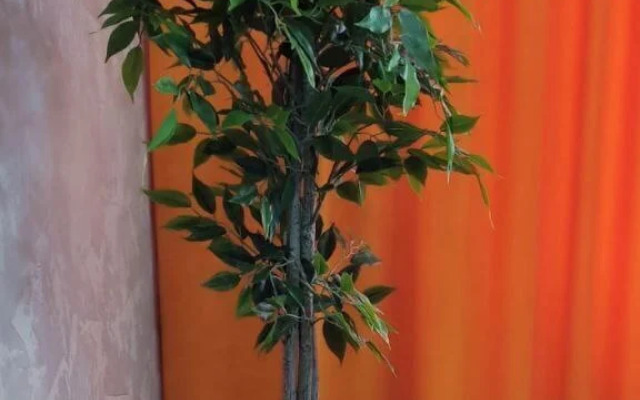 Квартира на Красильникова 46