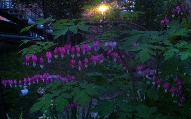 Granat Garden Guest House