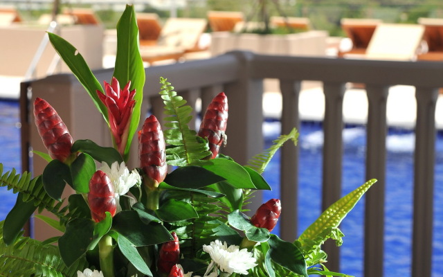 Princess Seaview Resort & Spa Hotel