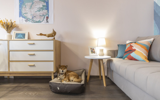 S vidom na ozero i gory Flat