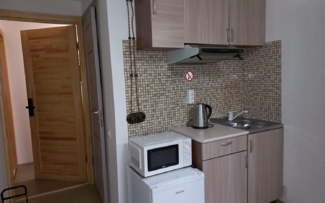 Studiya V Turisticheskom Tsentre Kolomny Flat