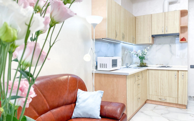 Studii V Tsentre Apartments