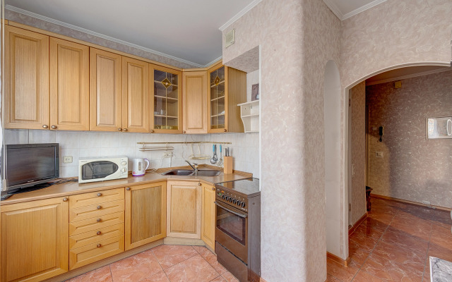 Domumetro Na Novyih Cheremushkah Apartments