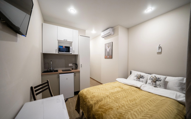 Апартаменты Уютная студия на Большой Зеленина